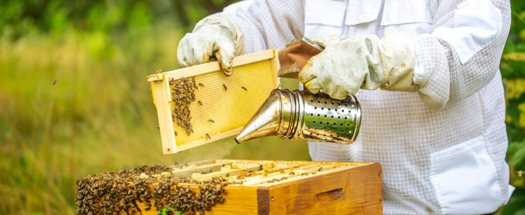 beekeeper